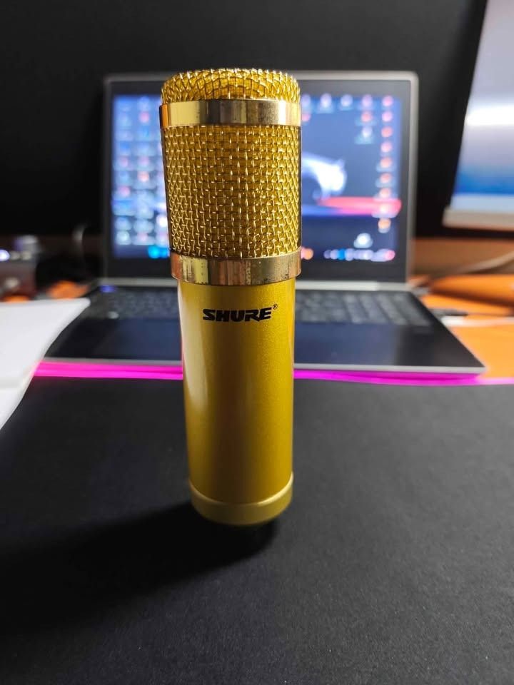 Micro studio d'enregistrement de marque SHURE
