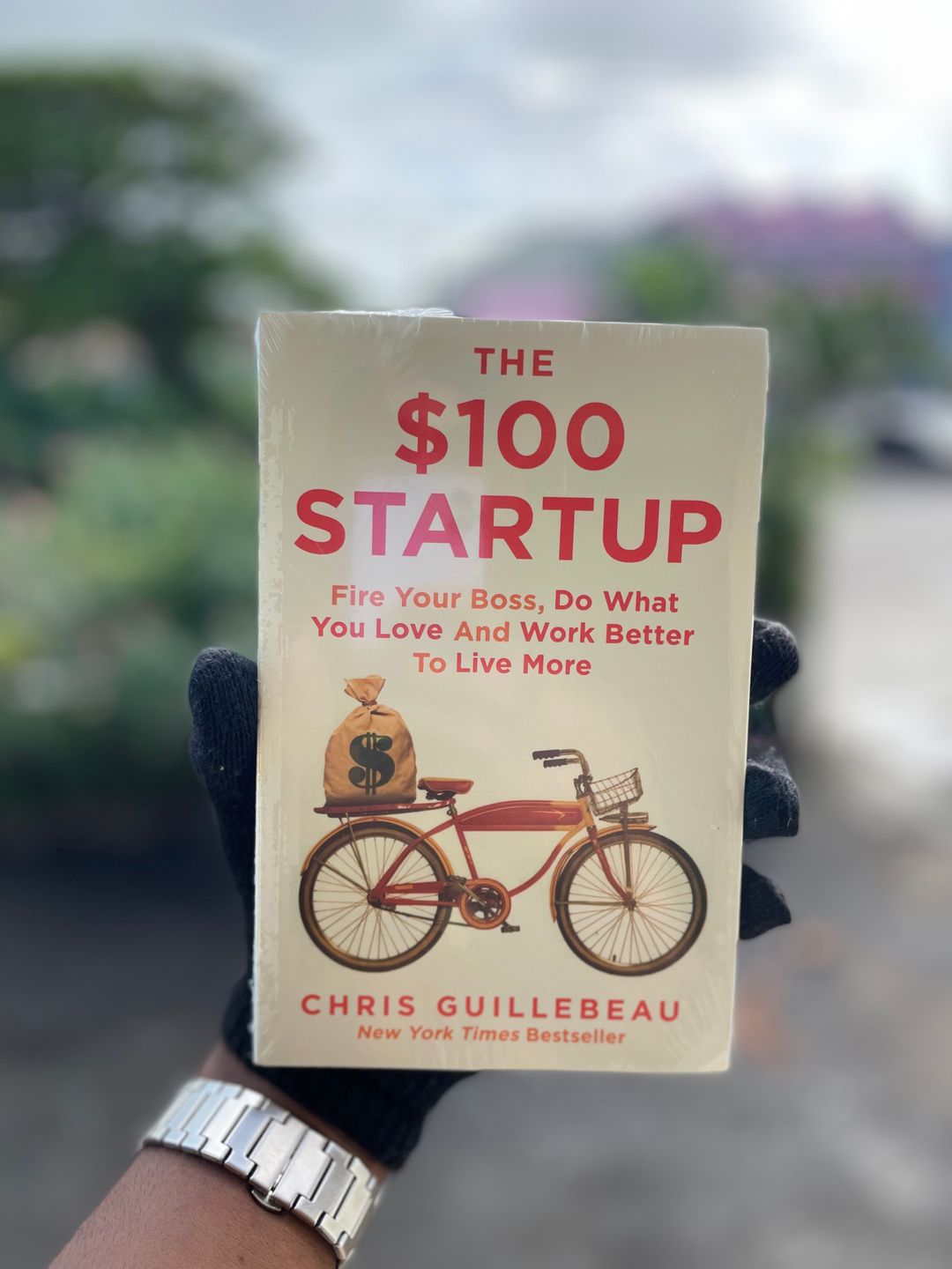 The $100 Startup Book