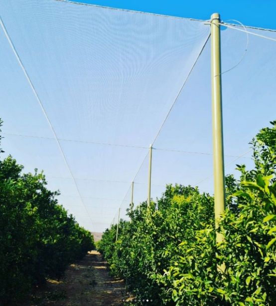 78mm shade net support in-line pole