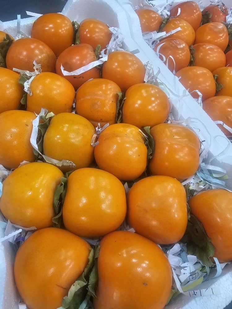 MPS66- Kaki 1kg  خرمة 