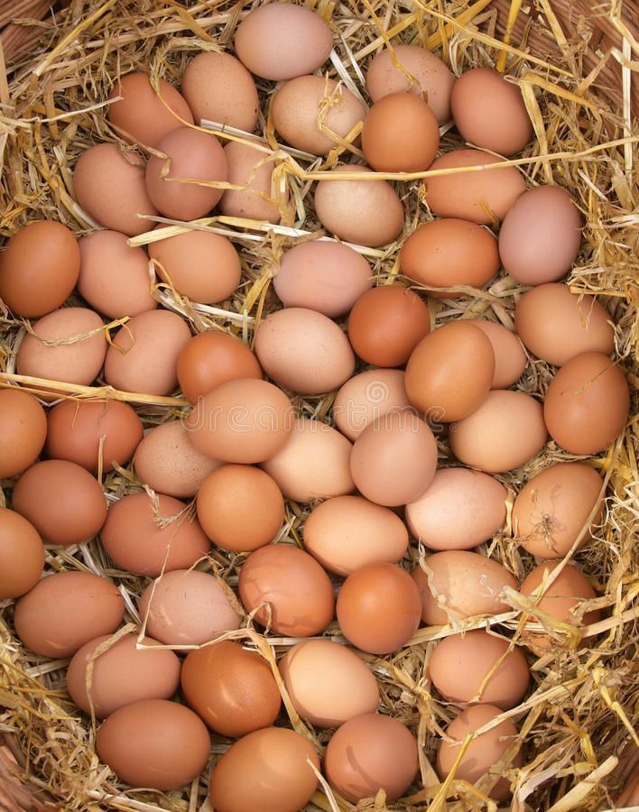 Huevos de Pastoreo (doc/flat de 30)