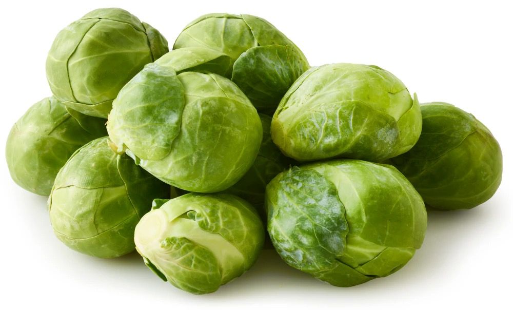Brussel Sprout