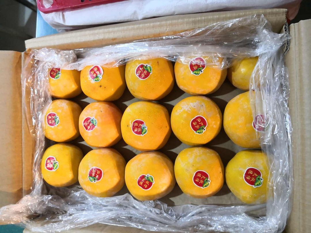 Korean Persimmons (Retail) 