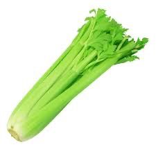 Celery Stick
