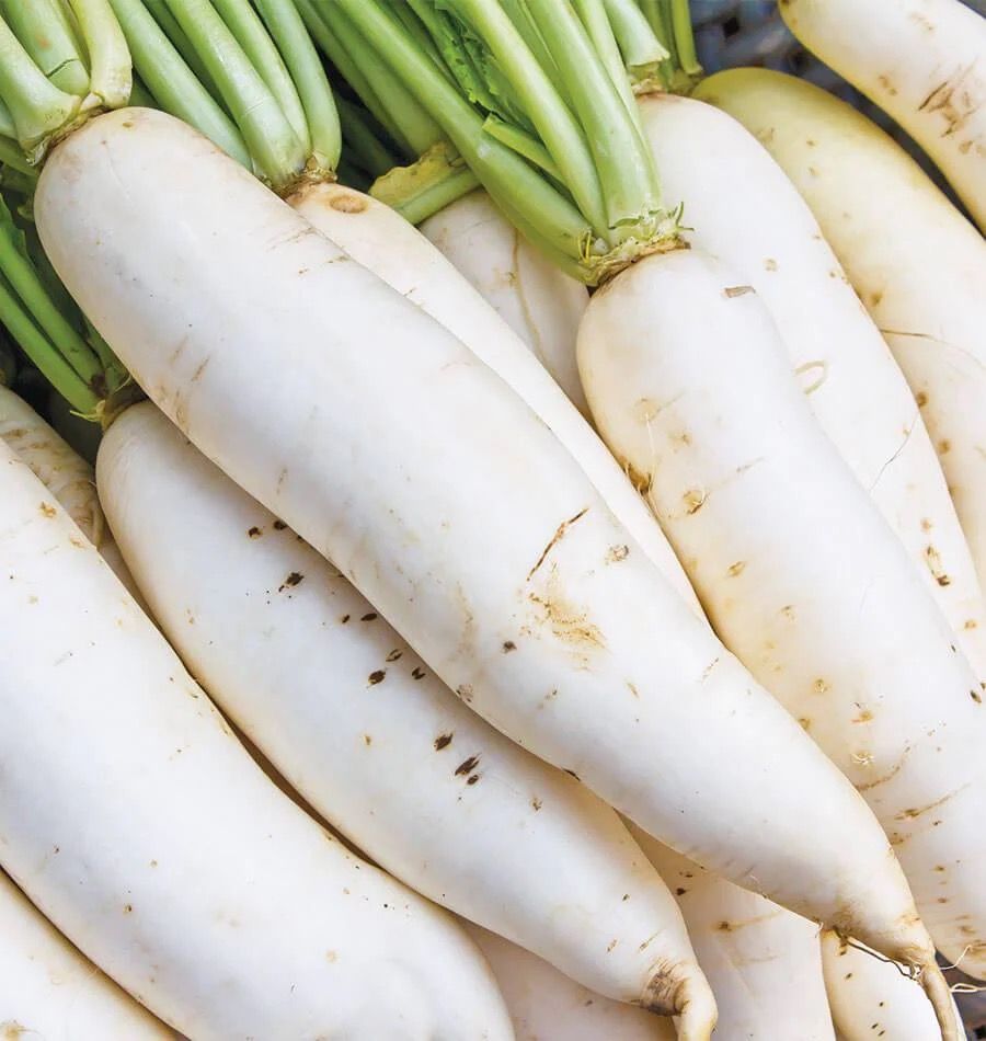 White Radish 