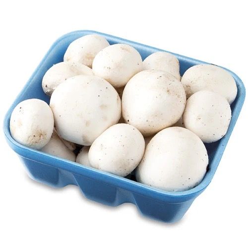 White mushroom 8oz