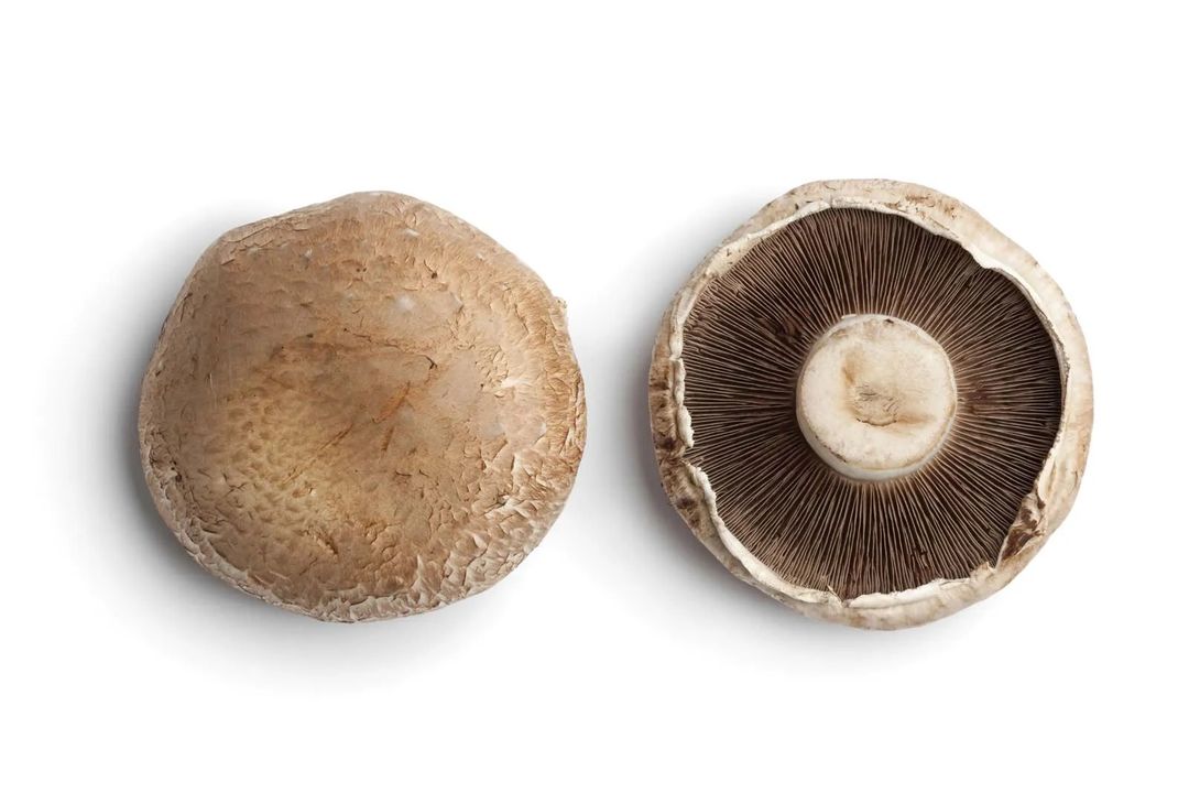 Portabella Mushroom 