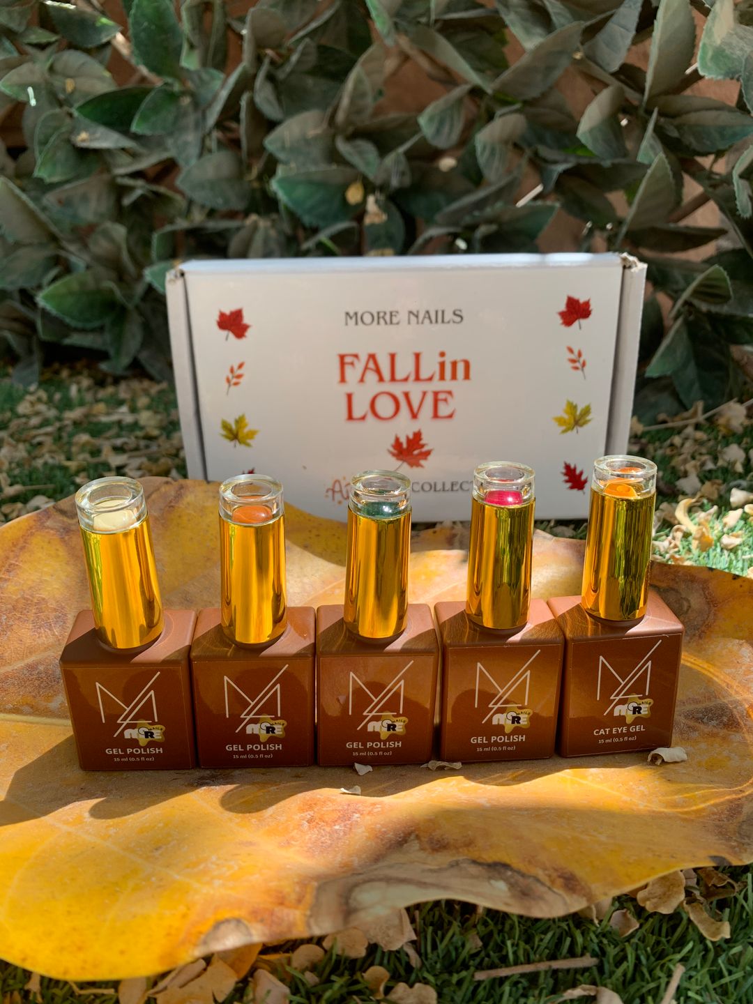 Fall in Love-Autumn Collection 