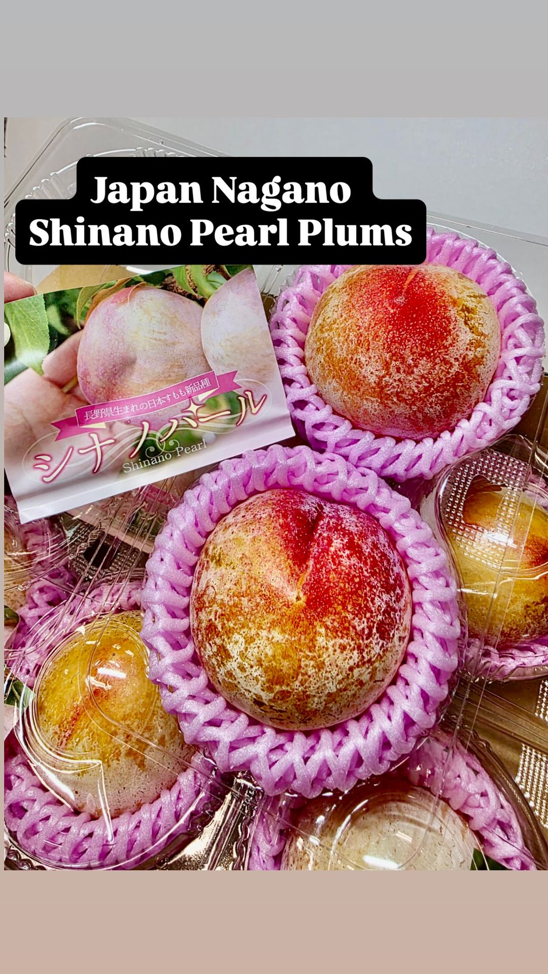 JPN NAGANO SHINANO PEARL PLUM (4L)