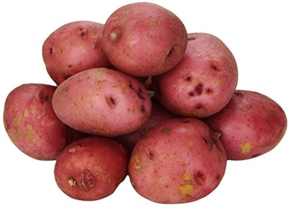Red baby potato