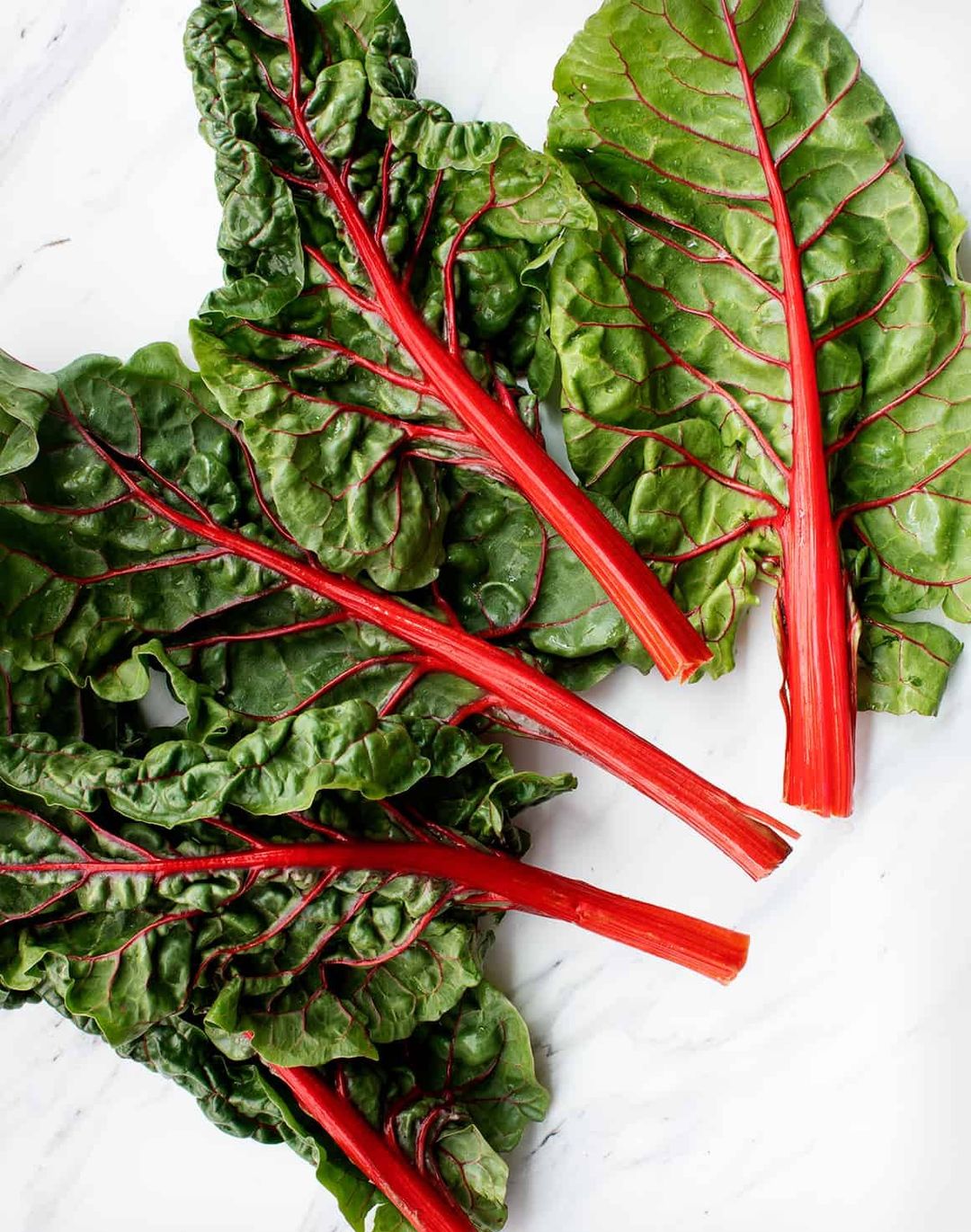 Swiss Chard