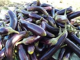 ត្រប់វែង