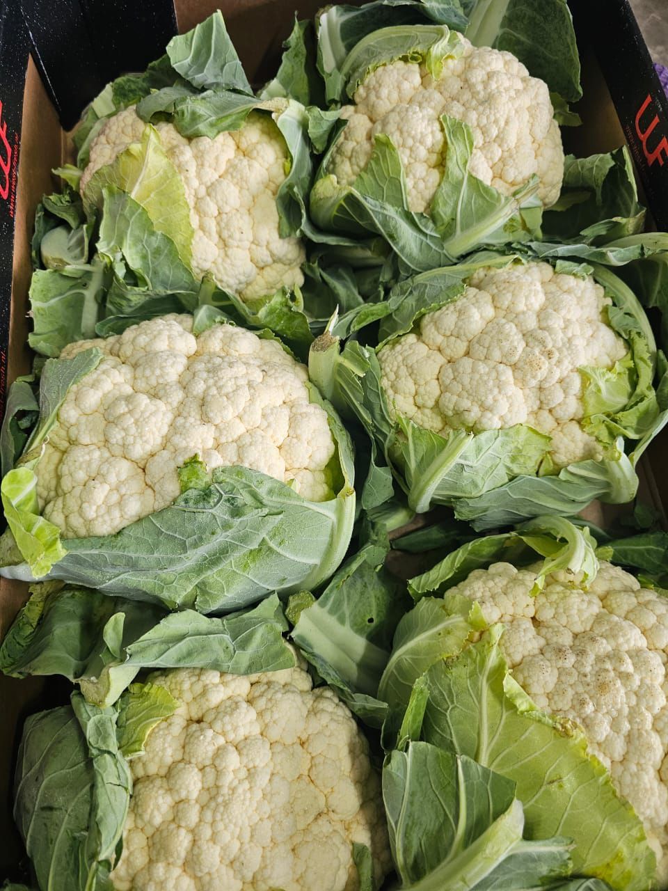 MPS90- Chou-fleur 1kg قرنبيط 