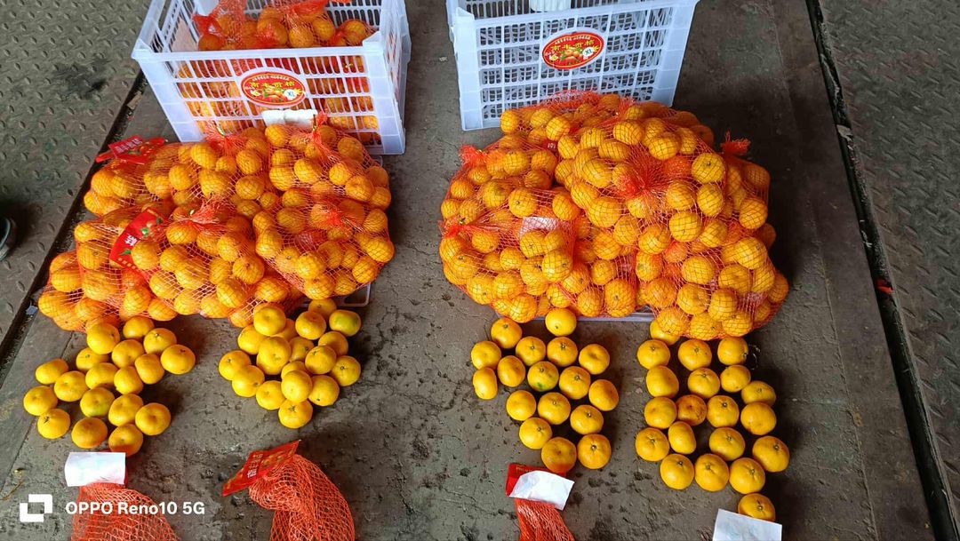 Sugar Kiat Kiat (By the Box) 