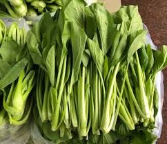 ស្ពៃចង្លឹះ