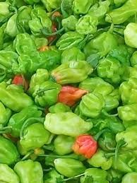 Piment Sofia (250g)