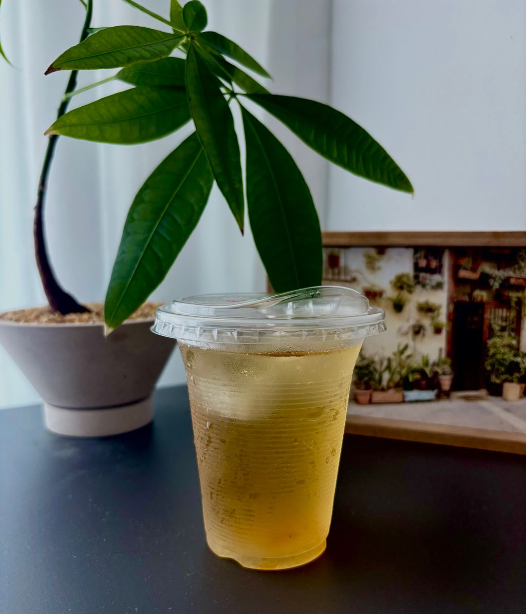 Signature Jasmine Green Tea with Yuzu