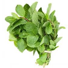 Fresh mint leaves
