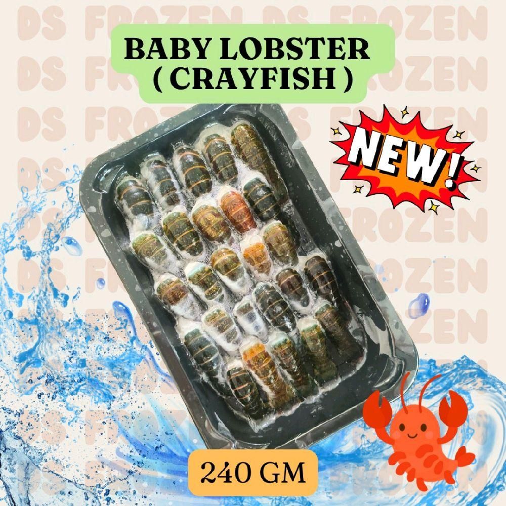BABY LOBSTER ( CRAYFISH) 240GM