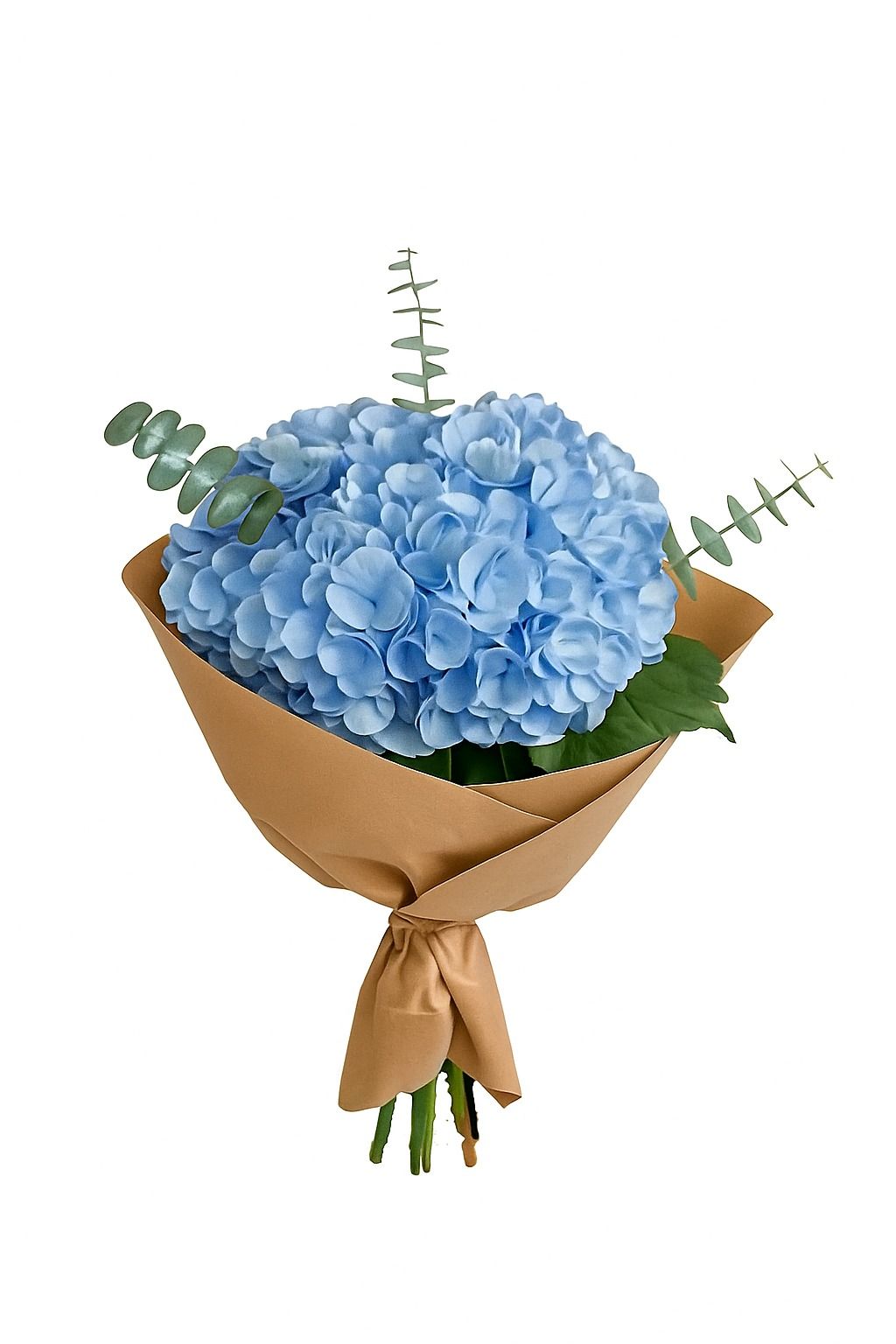 Monthly Subscription (Delivery of 2 Hydrangea Bouquets every 2 weeks)