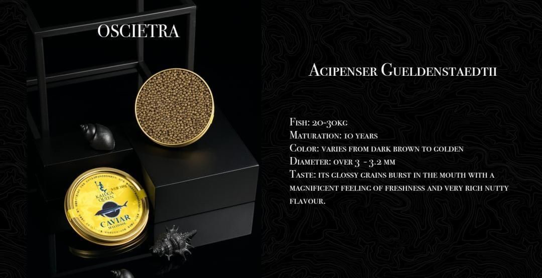 Oscietra Caviar - Kaluga Queen