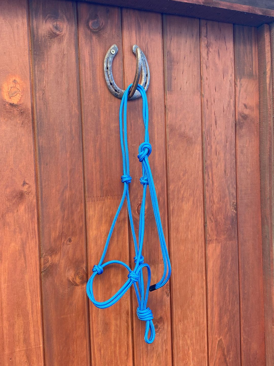 Rope Halter Ocean Blue