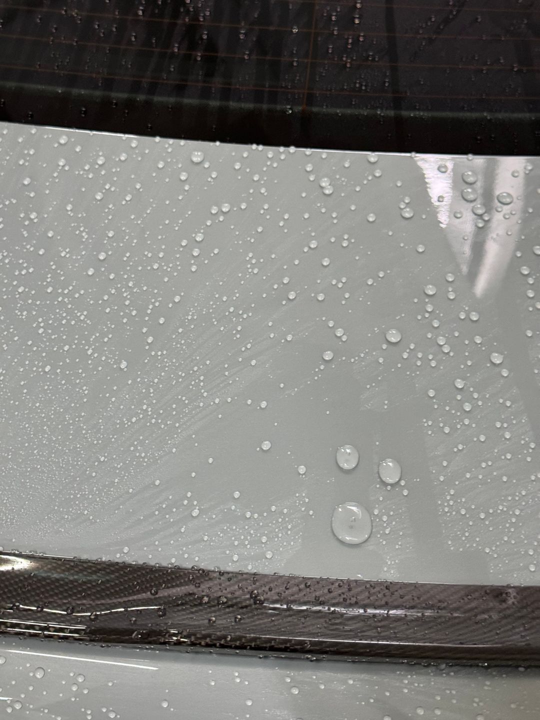 Ceramic Paint Sealant