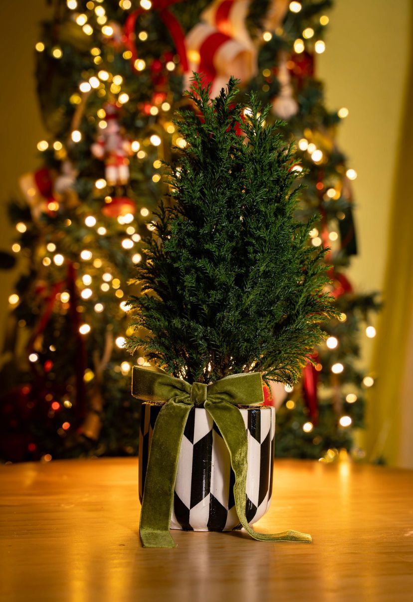 Pino navideño en macetero flora 4" B&W