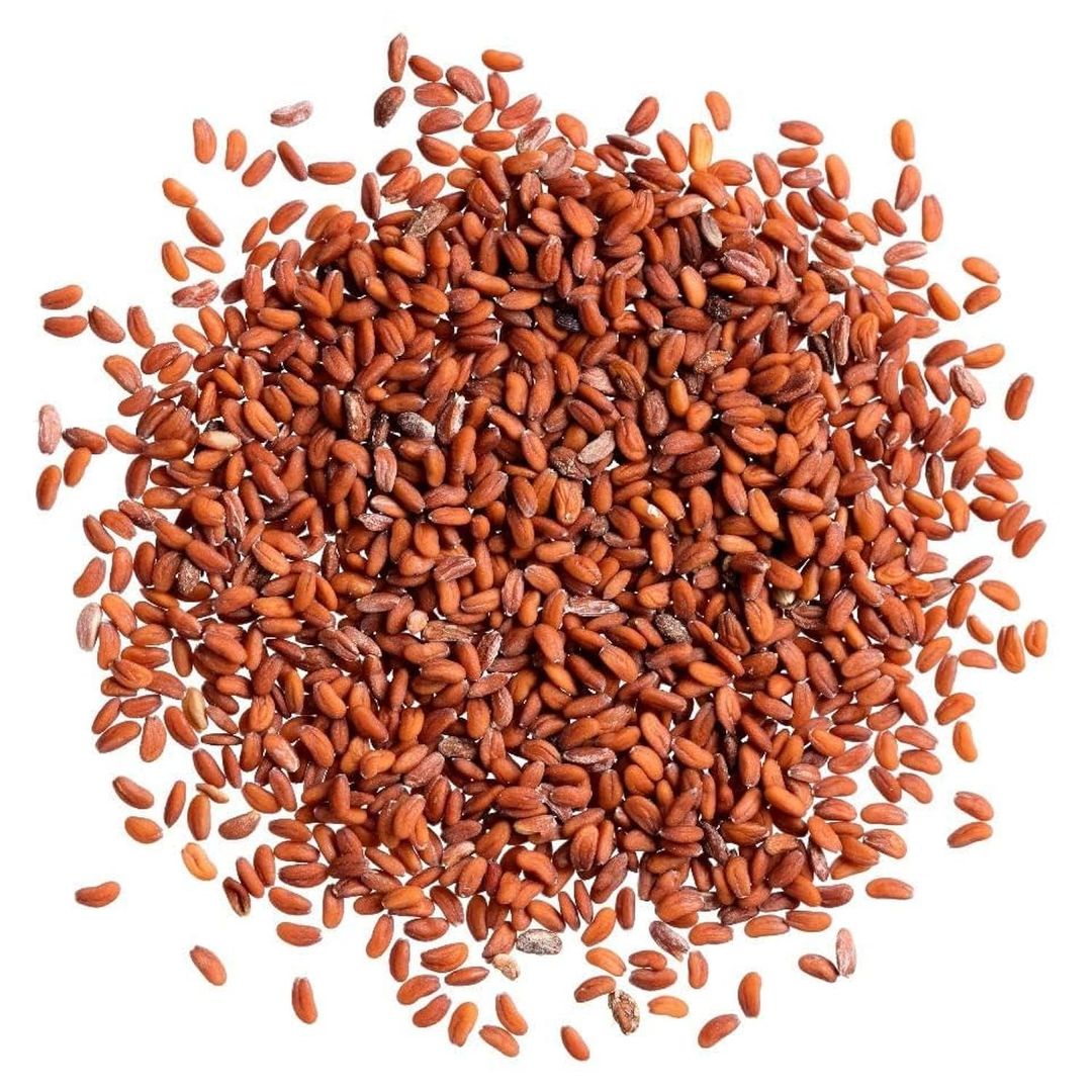 Cress seeds بزر الرشاد