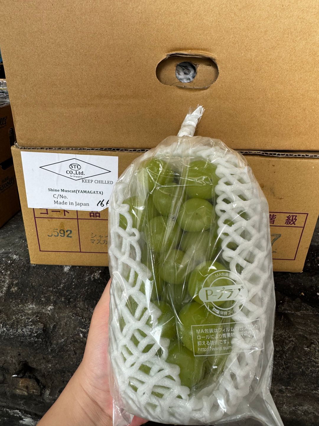 Japan Yamagata Shine Muscat 