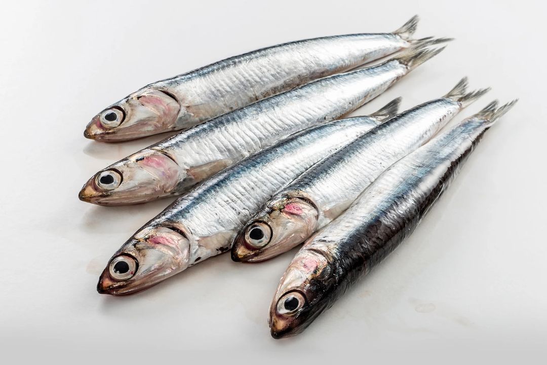 Anchovies/ Nethili/ Kozhuva/ Endu Nethallu