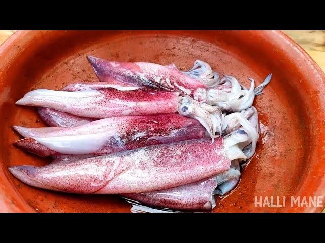 Squid/ Pīlikkanavay/ kaṇava