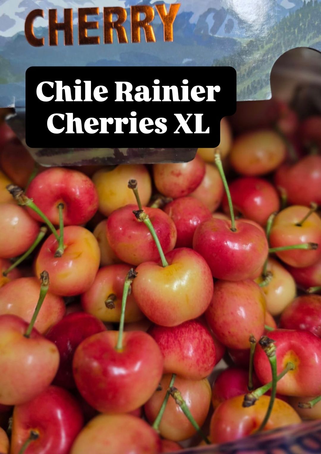 CHILE RAINIER CHERRIES (XL)