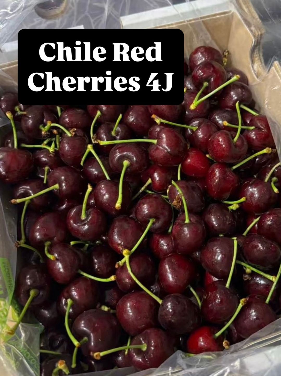CHILE SANTINA RED CHERRIES 4J