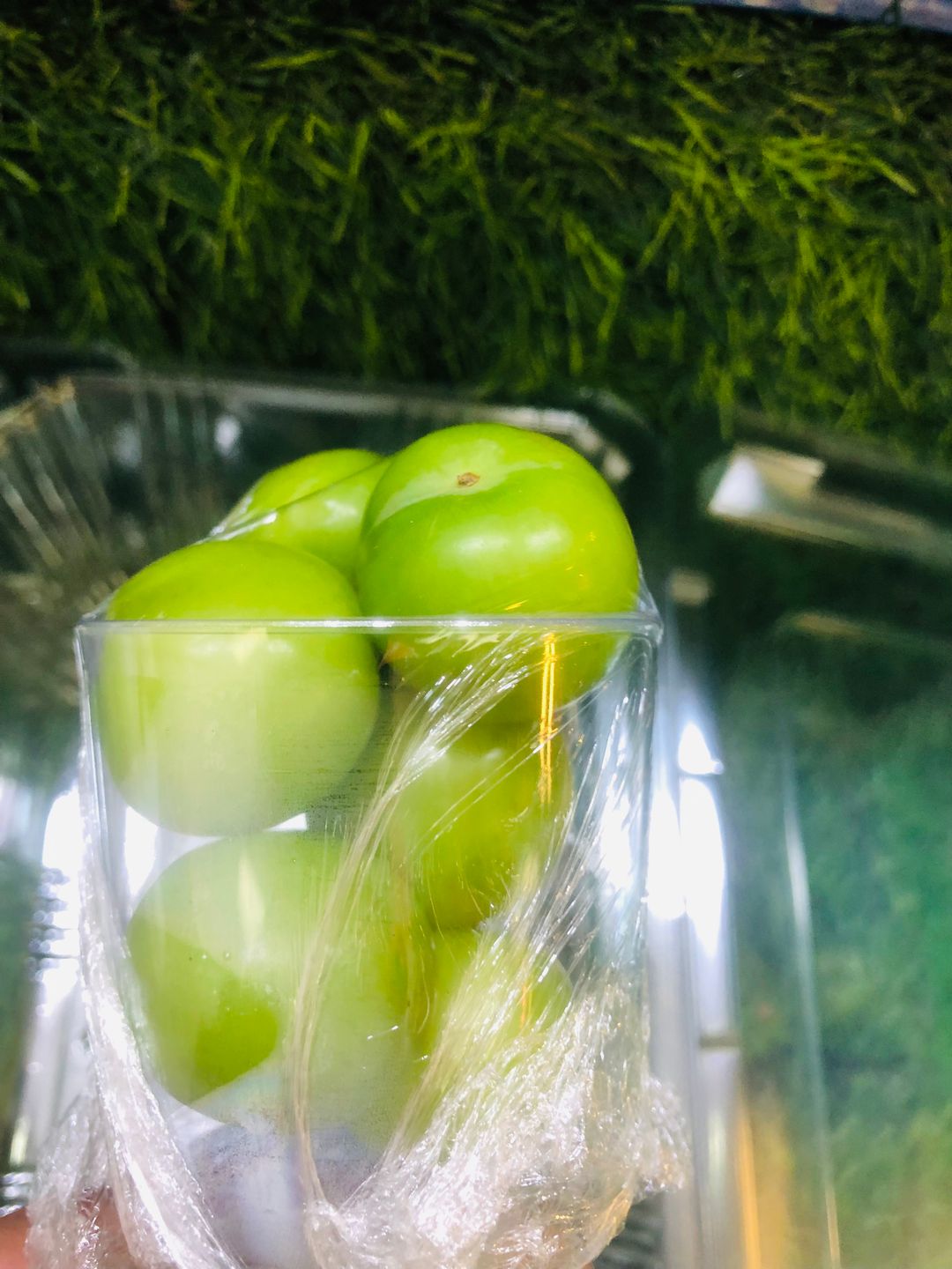 بوكس كوجة عراقي 