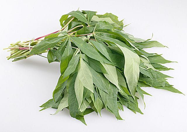 Feuilles de manioc 