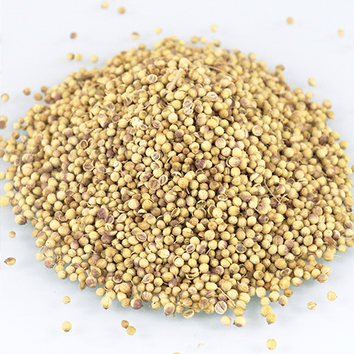 Coriander كزبره حب