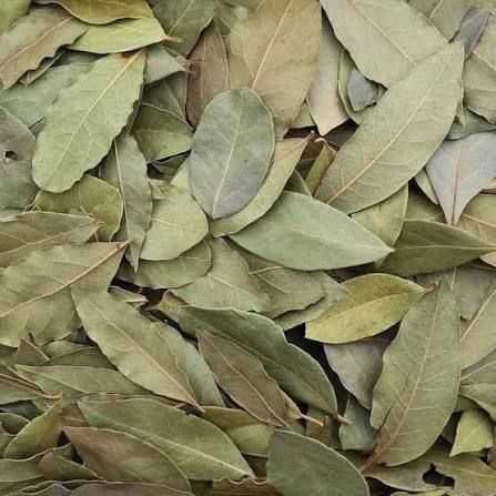 Bay leaves ورق غار