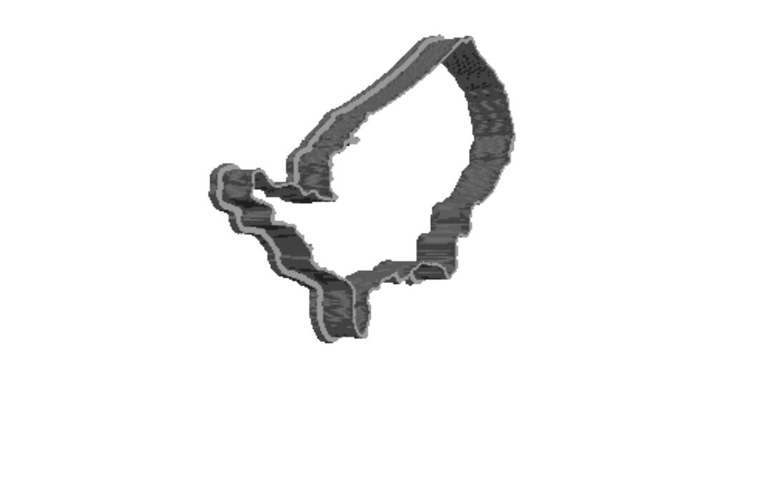 US outline Cookie Cutter     
