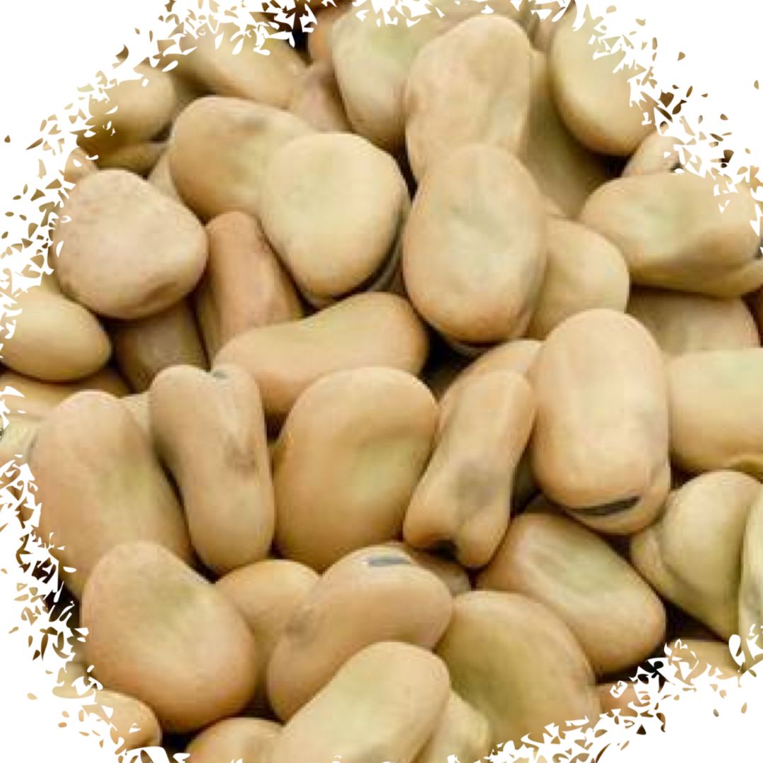 Fava beans فول حب
