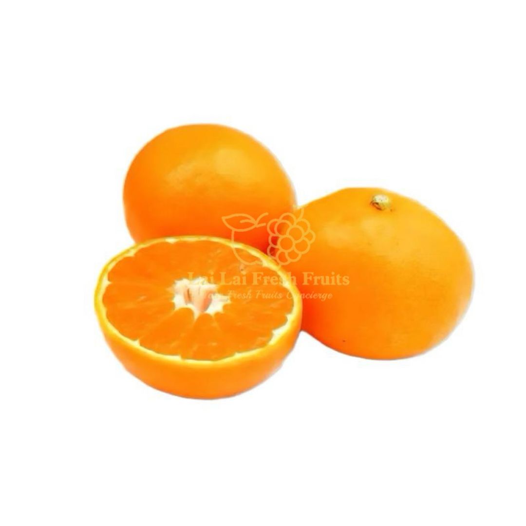 Japan AQ Arida Mikan