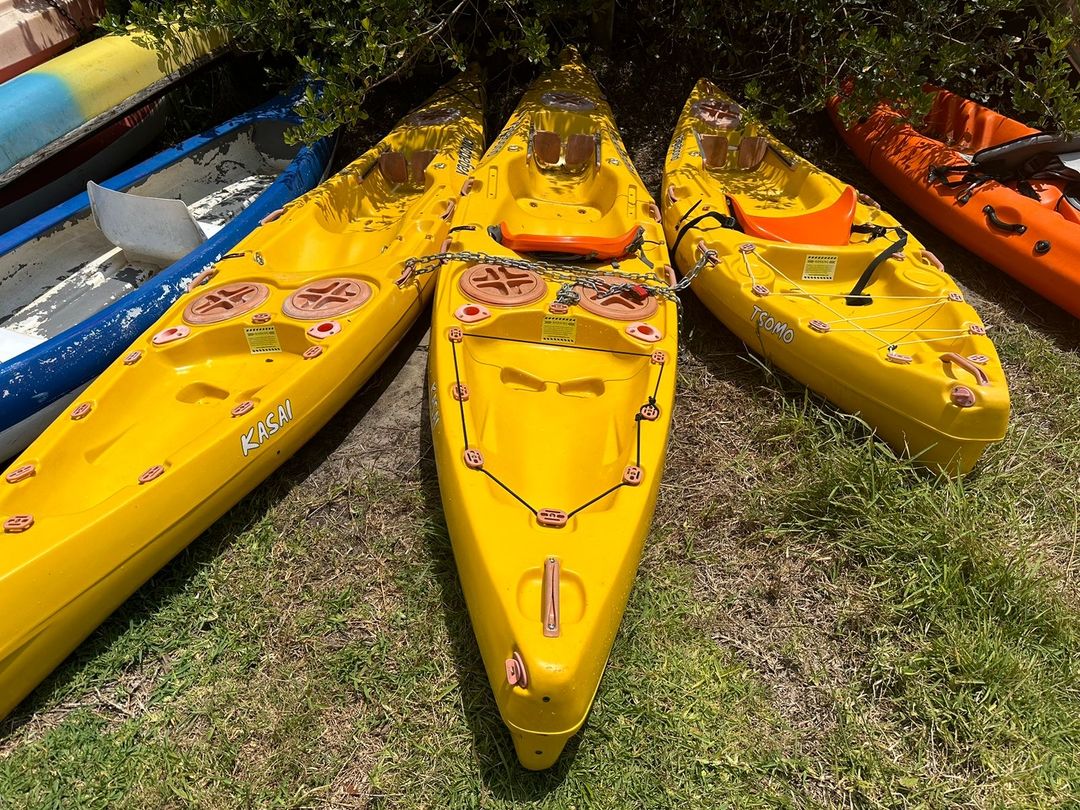 Kayak Rental