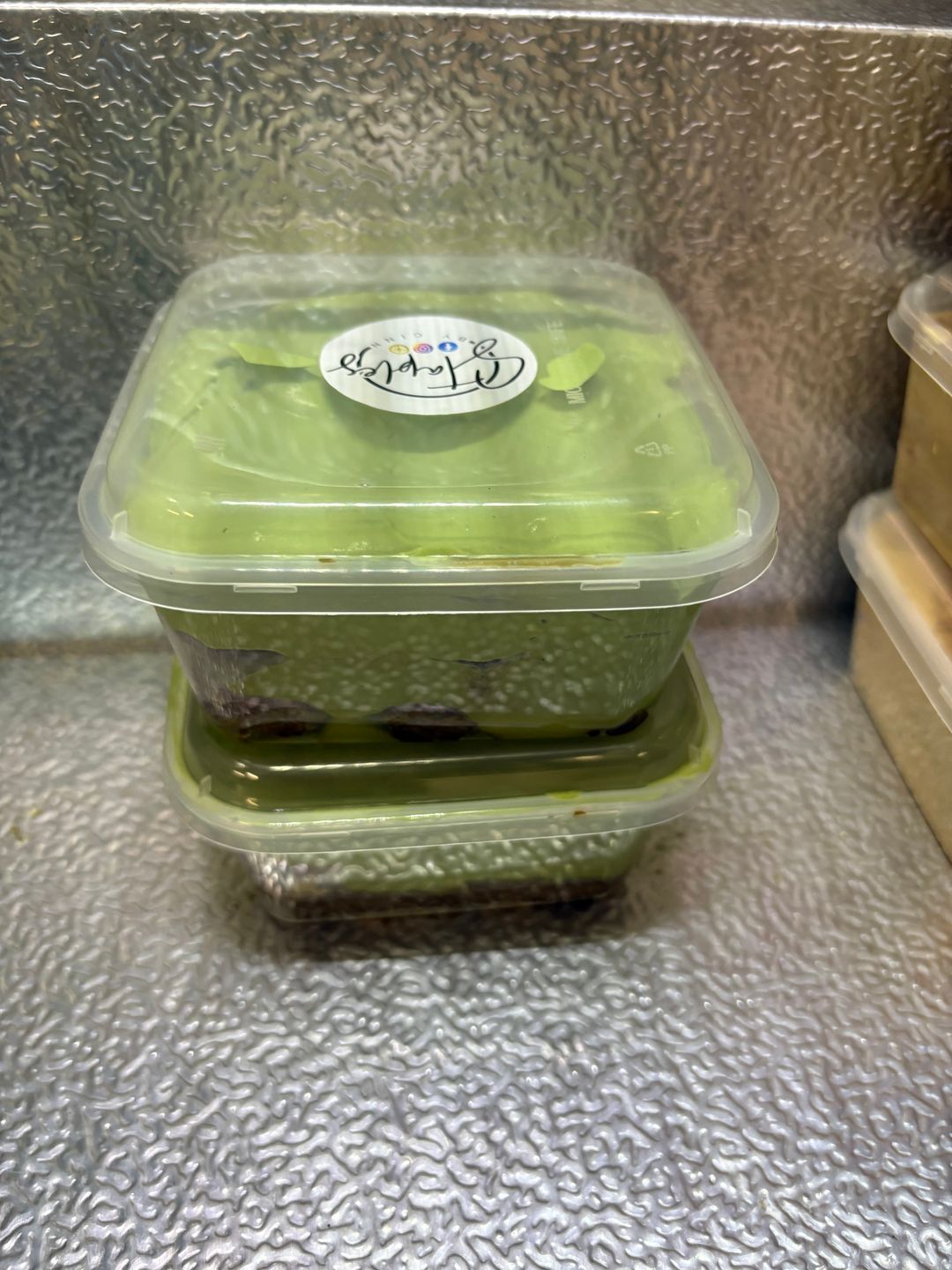 Matcha espresso misu 