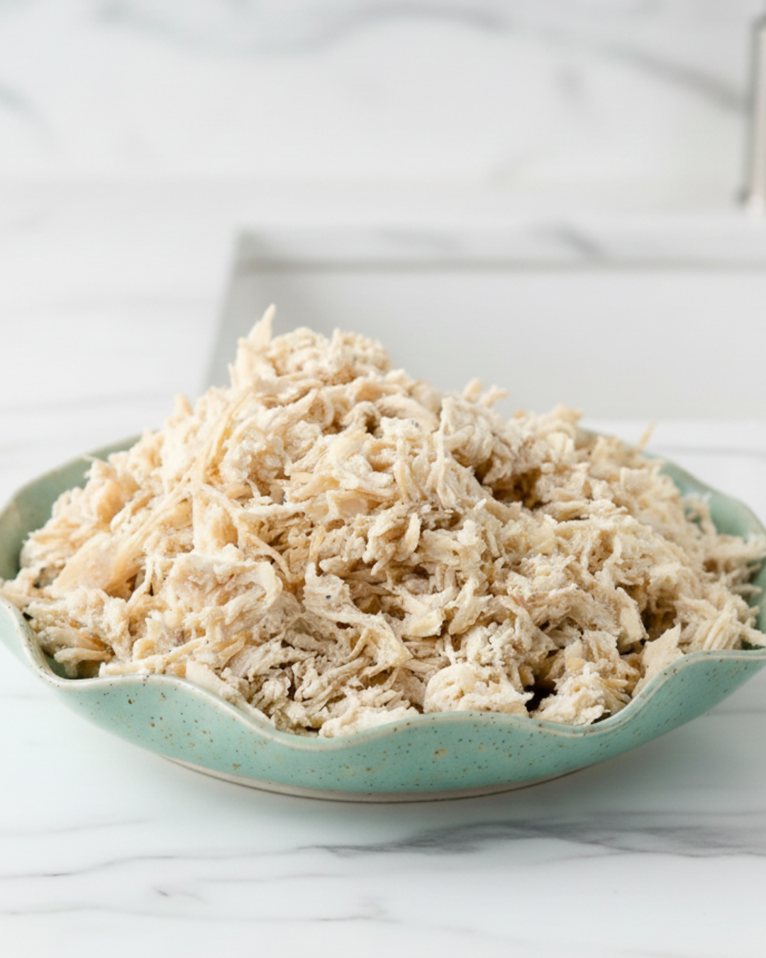 Chicken Gravii by PetandMe