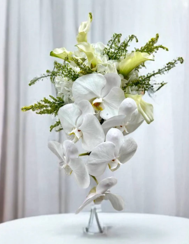 [Free Delivery] Lune