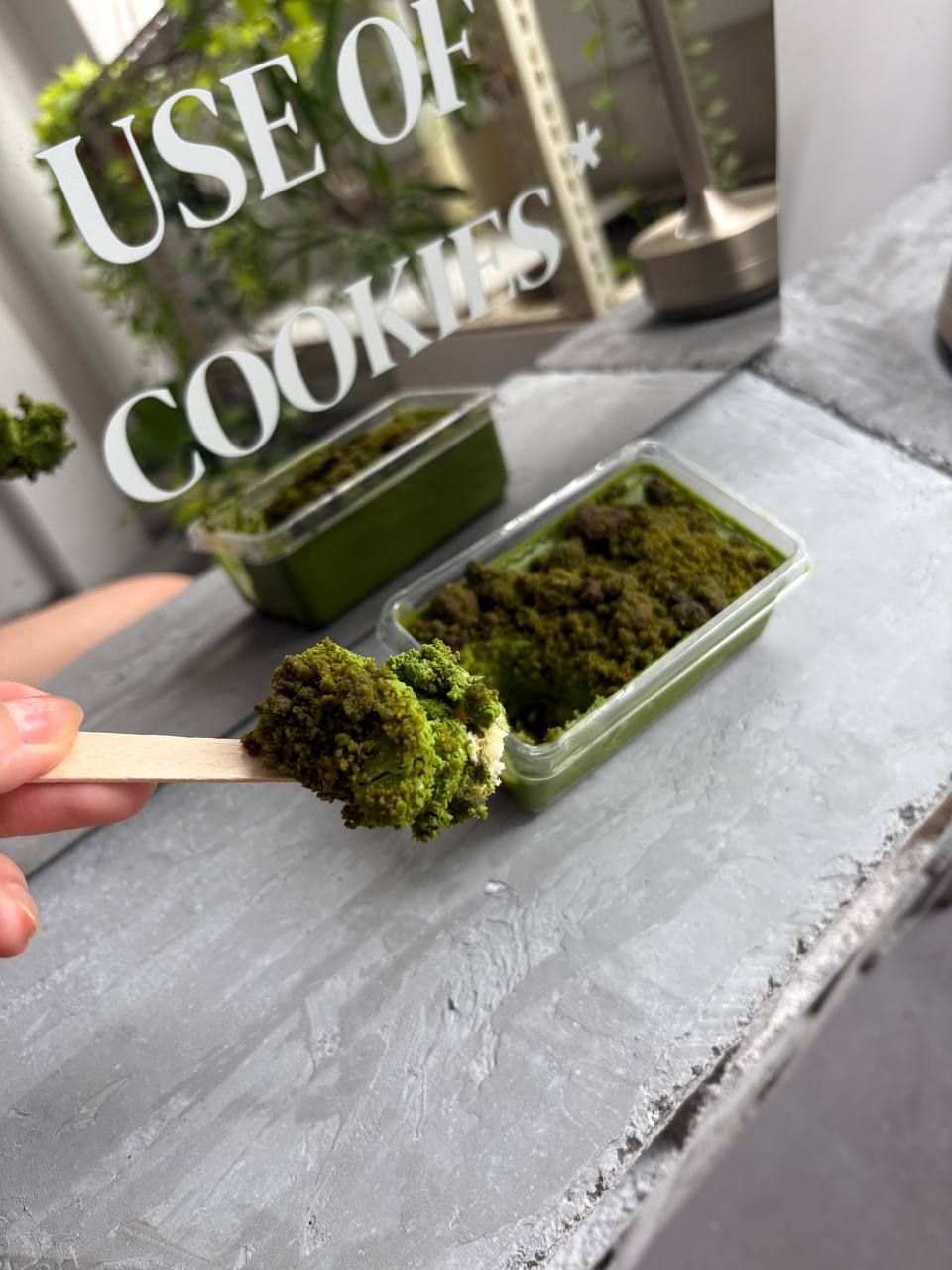 Osmanthus matcha tub