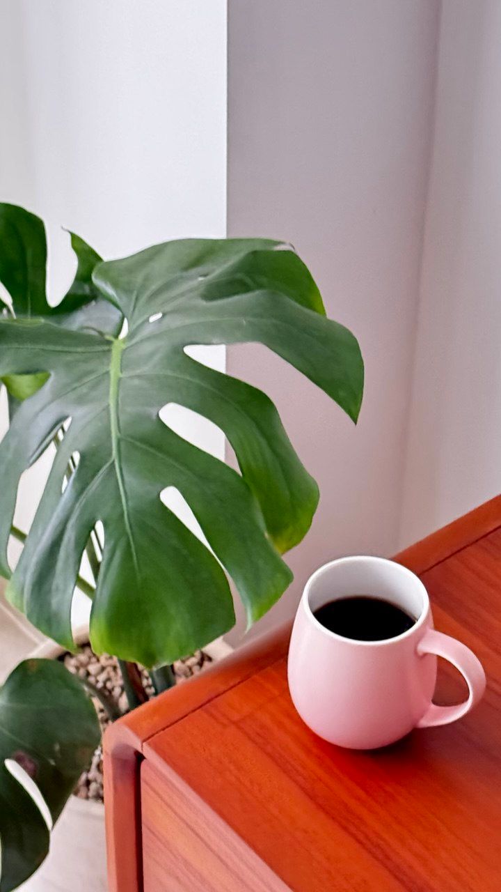 Seasonal Filter Coffee