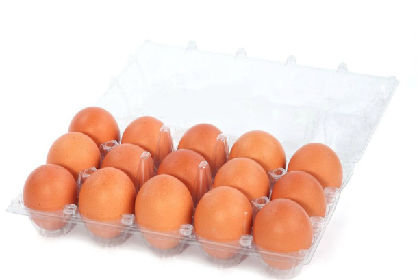 Aksarı Yumurta Gezen Tavuk (15'li)