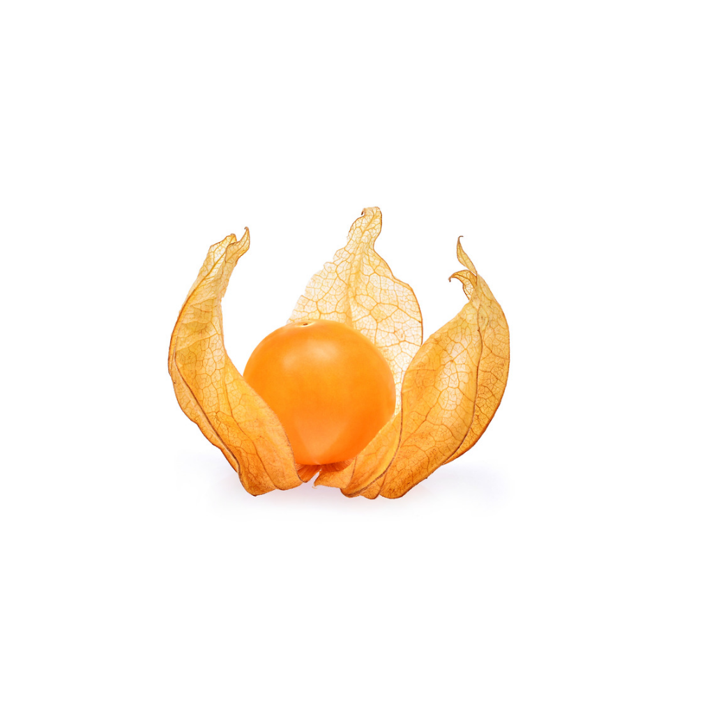 Girl Fruit / Gooseberry (By the Box) 