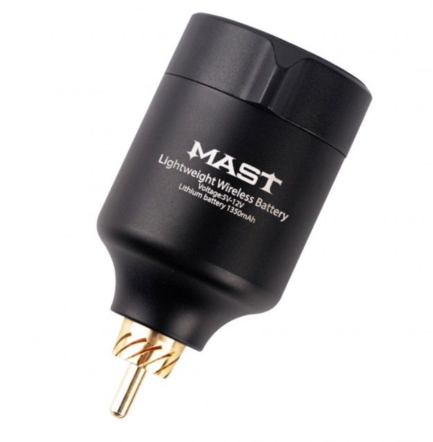 Mast Battery Power Supply